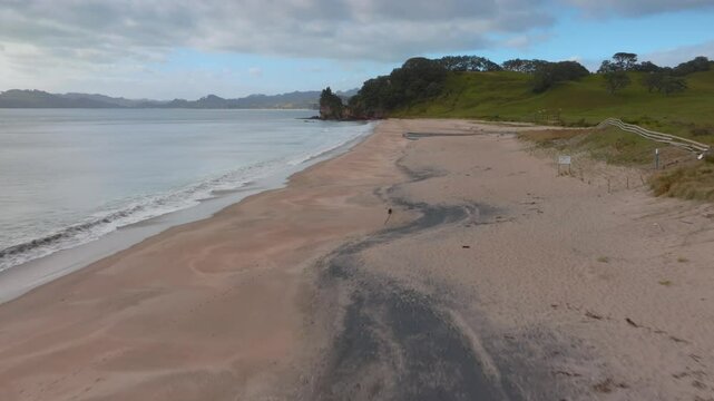 Tranquil beach scene with gentle waves, sand, and lush green hills. Coastal landscape, perfect for relaxation. SIMPSON BEACH, WHITIANGA, COROMANDEL PENINSULA, NEW ZEALAND