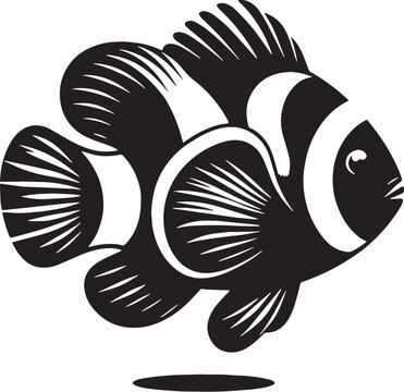 black and white clownfish swimming clip art preview