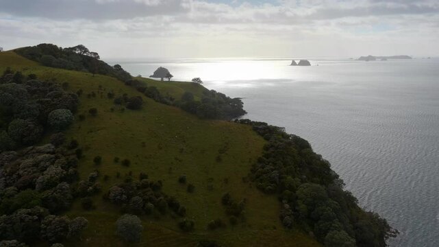 Coastal New Zealand landscape. Rolling hills meet the calm ocean. Tranquil scene. SIMPSON BEACH, WHITIANGA, COROMANDEL PENINSULA, NEW ZEALAND