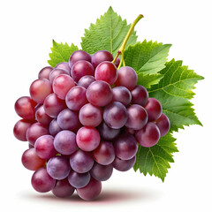 Fototapeta premium A bunch of grapes isolated on a transparent background, displaying plump, juicy purple or green grapes.