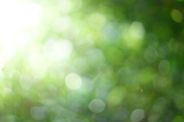 Abstract circular green bokeh backround