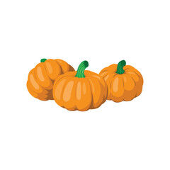 Fresh Autumn Pumpkin Harvest in Rustic Setting