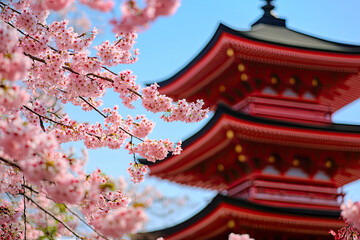 Traditional Japanese pagoda surrounded by cherry blossoms, symbolizing cultural heritage