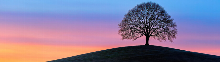 Detachment emotional concept. Solitary tree silhouetted against a colorful sunset sky.