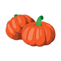 Fresh Autumn Pumpkin Harvest in Rustic Setting