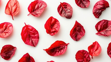 Red chard leaves arranged artistically on a white background showcasing vibrant colors and textures from a top view perspective.