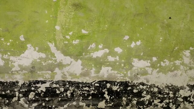 wall paint that is peeling because the wall is damp