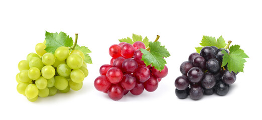 Collection of different (green, red, black) grapes isolated on white background. Clipping path.
