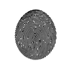 Fingerprint Identity: A close-up, high-resolution image of a black fingerprint, showcasing the intricate whorls and ridges that make up this unique biometric identifier.  