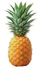 pineapple fruit on transparent background