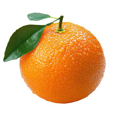 orange fruit with green leaves on white background