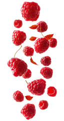 raspberries falling on white background