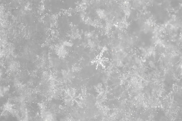 雪の結晶