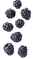blackberries falling on white background