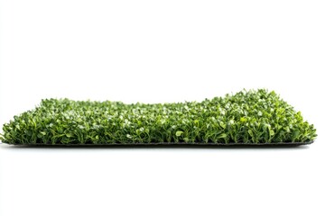 Green artificial grass carpet isolated on white 