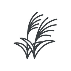 Cute miscanthus icon. Hand drawn monochrome illustration of a susuki grass isolated on a white background. Vector 10 EPS.