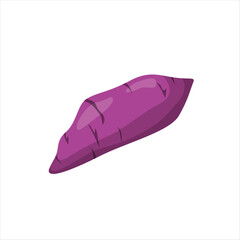 Sweet Potato Vector Illustration for Healthy Food Design
