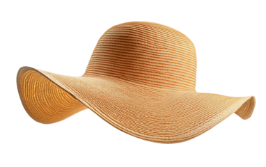 Broad-Brimmed Hat isolated on transparent Background