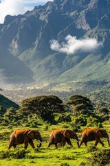 Three elephants walking through a lush landscape with mountains in the background.
