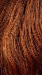 Naklejka premium Close-up of wavy, reddish-brown hair texture.