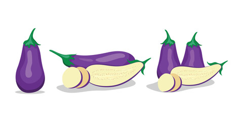Vector Illustration of Eggplant for Design Projects