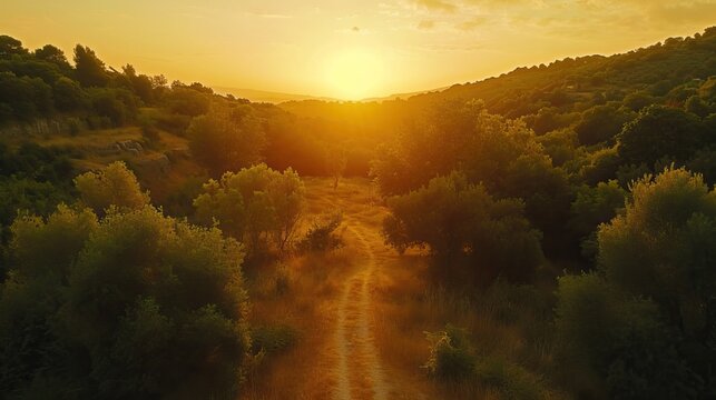 A film still , drone shot, 2000k color grading