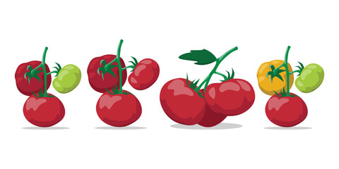 Vector Illustration of Bright Red Tomatoes