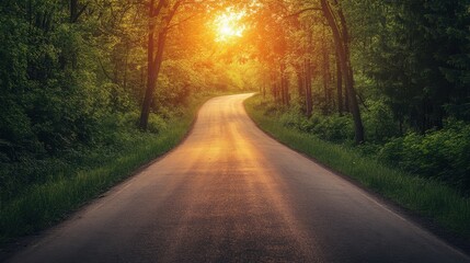 Naklejka premium Serene sunset drive forest road photography nature scenic view
