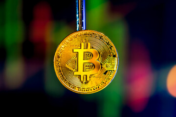 Bitcoin gold coin. Stock market trading chart background online candle.