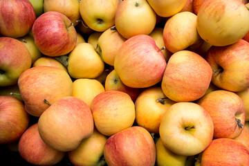apples