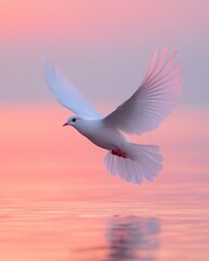 Obraz premium A serene dove soaring gracefully above calm water at sunrise, soft pastel skies reflecting in the water below, peaceful and tranquil atmosphere
