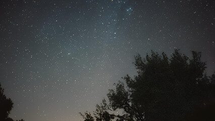 The night sky, a canvas of black, is punctuated by shimmering stars