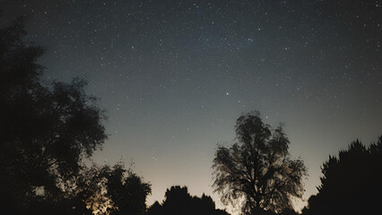Fototapeta premium Stars sparkle against the deep blackness of the night sky