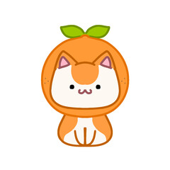 Cute orange ginger cat
