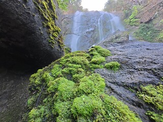 Khlonglan waterfall with moss in rainforest