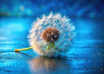 Macro shot: Dandelion seed head explodes, fluffy seeds adrift, spring's delicate beauty on a blue table.