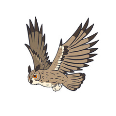 Hand drawn line art eagle-owl flying isolated on white background. Nocturnal bird vector illustration.