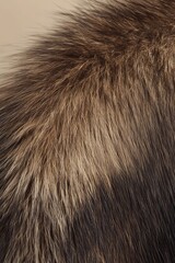Fototapeta premium Close-up of soft, textured fur showcasing various shades and natural patterns.