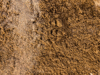 Close up of sandy beach texture with brown and golden hues