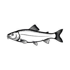 chub fish silhouette vector, white background