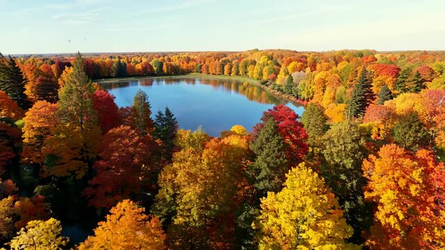 Orange bright autumn park with lake, river and trees. Video of a orange and red forest from a bird's eye view.
