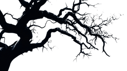 tree silhouette vector