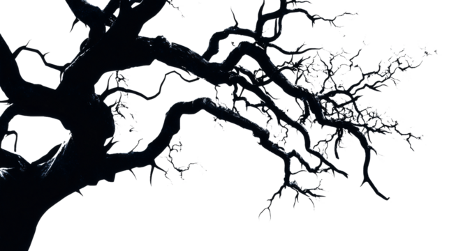 tree silhouette vector