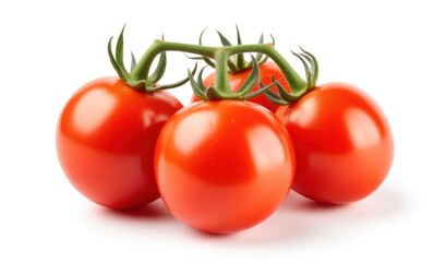 Fresh red tomatoes on vine.