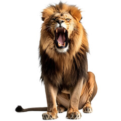 a lion with its mouth open