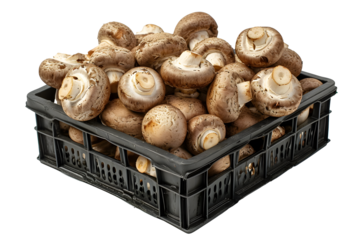 a basket of mushrooms