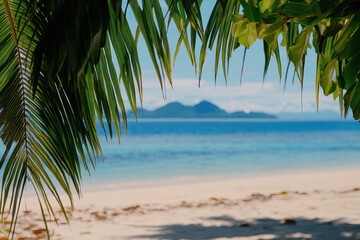 Tropical beach scene viewed through palm fronds. (13)