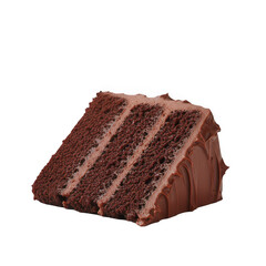 Delicious chocolate cake slice bakery food photography indoor setting close-up view tempting dessert highlights
