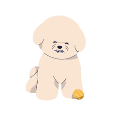 Happy cute Bichon Frise puppy. Funny dog playing with ball. Adorable comic smiling pup, playful doggy laughing. Charming canine breed. Flat graphic vector illustration isolated on white background