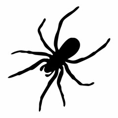 BLACK SILHOUETTE OF SPIDER INSECT